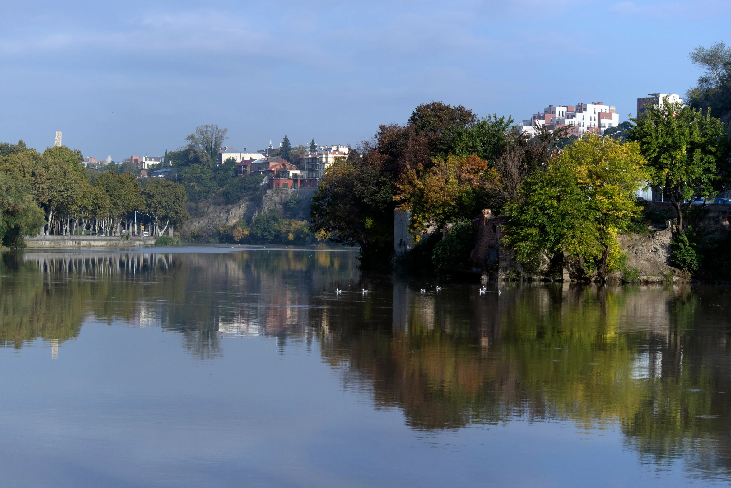 the reflection of trees in the water is very clear