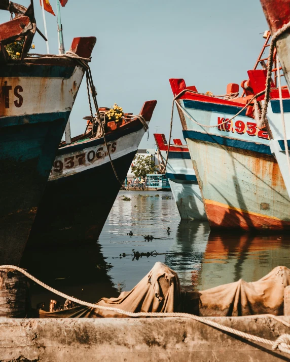 a bunch of boats in a harbor in the water