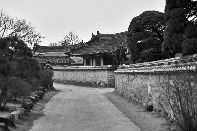 black and white pograph of a path with trees in the distance