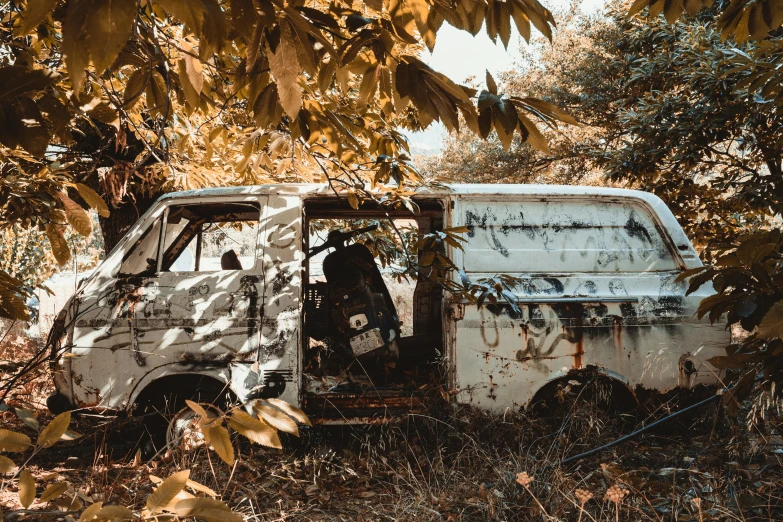 an old van in a field full of trees