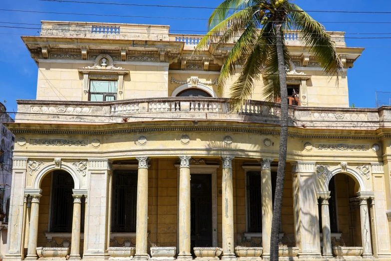 a large old building with a palm tree in front of it