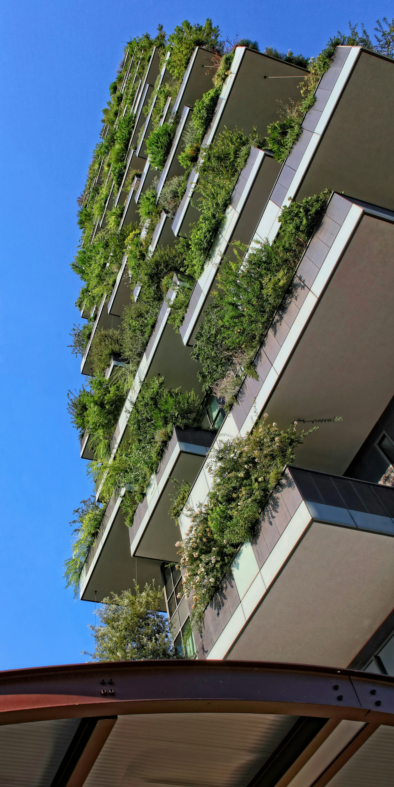 a building with many green plants on the windows