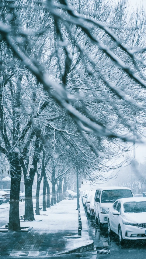 cars are parked next to each other on a snowy street