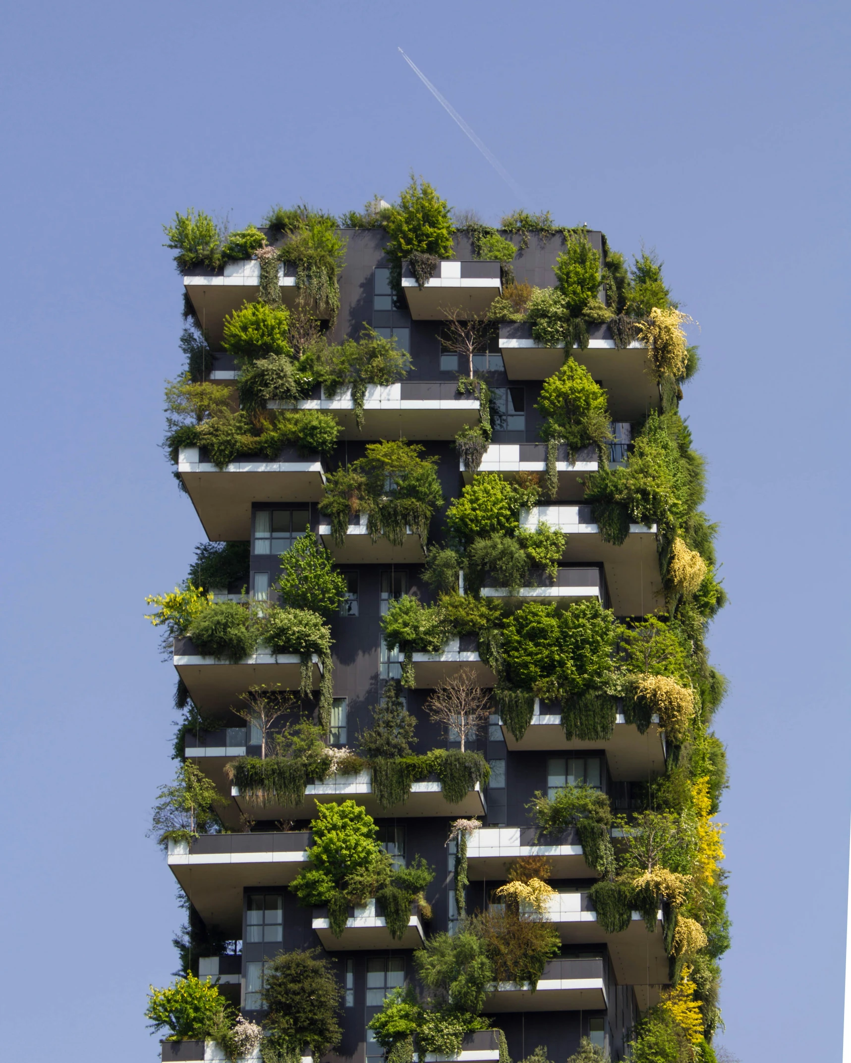 a very tall building with many plants growing on it