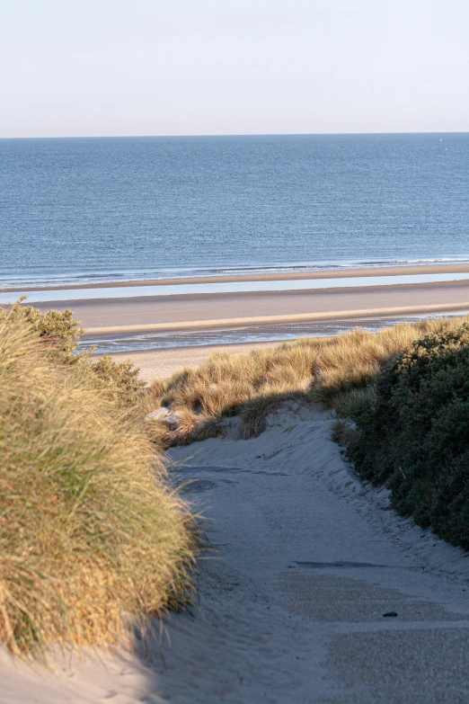 this is the view of a sandy beach with grass, sand and a walkway leading to a sandy beach