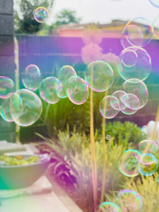 a variety of bubbles floating in the air