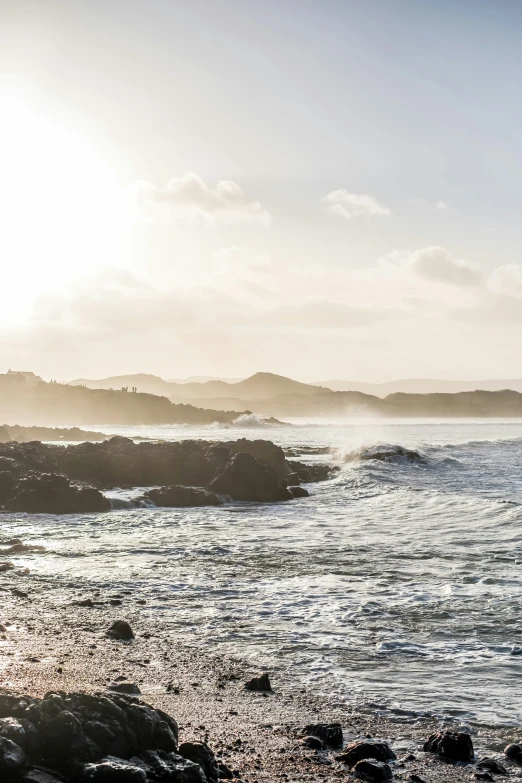 a lone bird stands on the rocks by the ocean