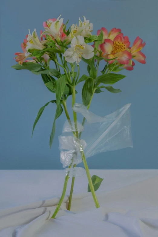 the flowers in the vase were wrapped with a cellophane
