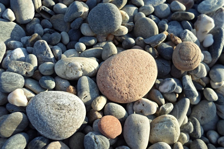 rocks and pebbles on a rocky beach