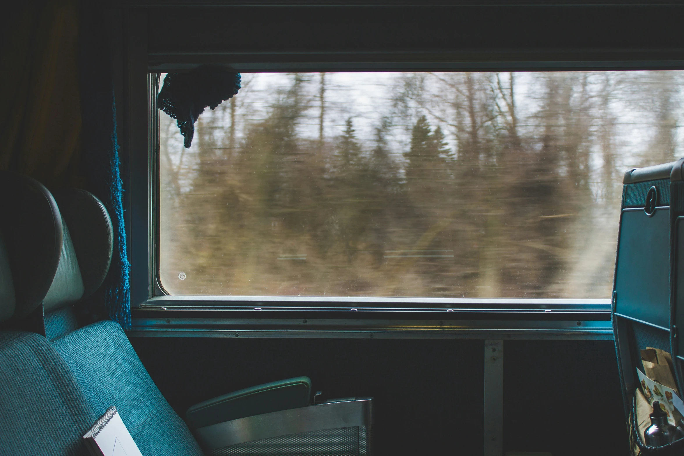 a view of trees outside of a window of a train