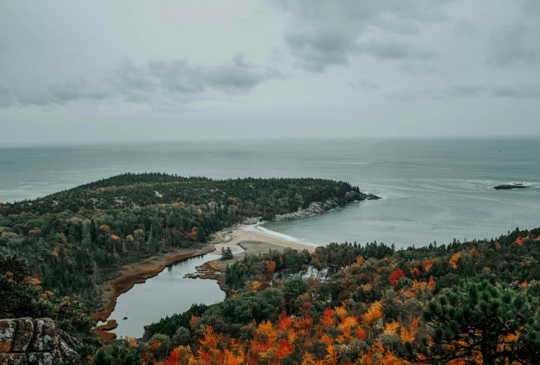 the view of a forest and a body of water from a high viewpoint