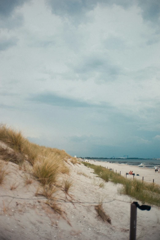 a sandy beach covered in grass and sand dunes