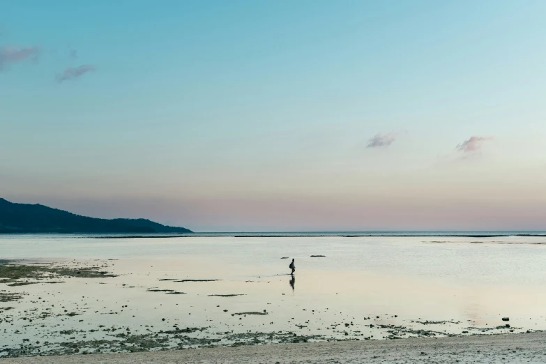 the man is walking alone in the shallow water near the shore