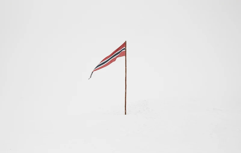 the flag on a pole is in the snow