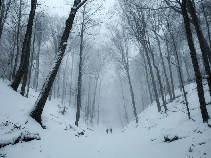 two people walk down the snowy trail as snow comes