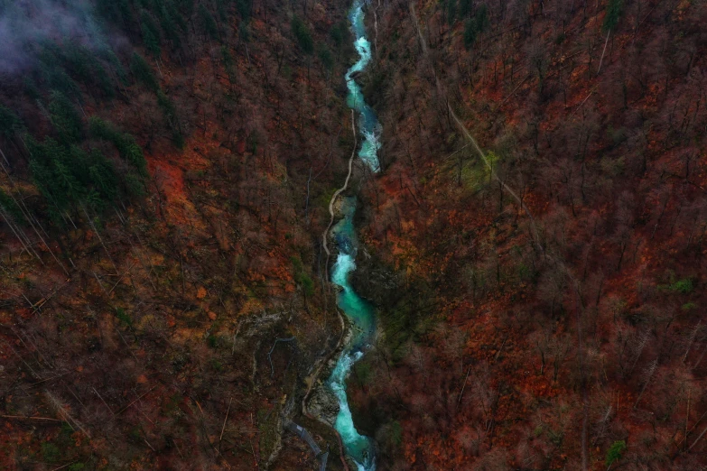 a stream running through an area that is almost covered in green and red