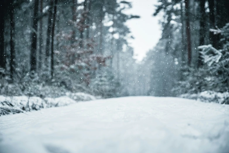 a dirt road in the woods is very cold