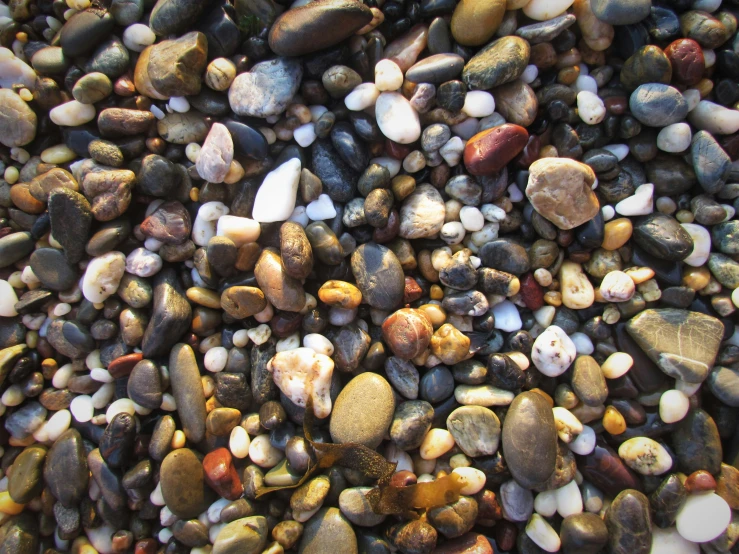 small, multicolored rocks are sitting together on the ground