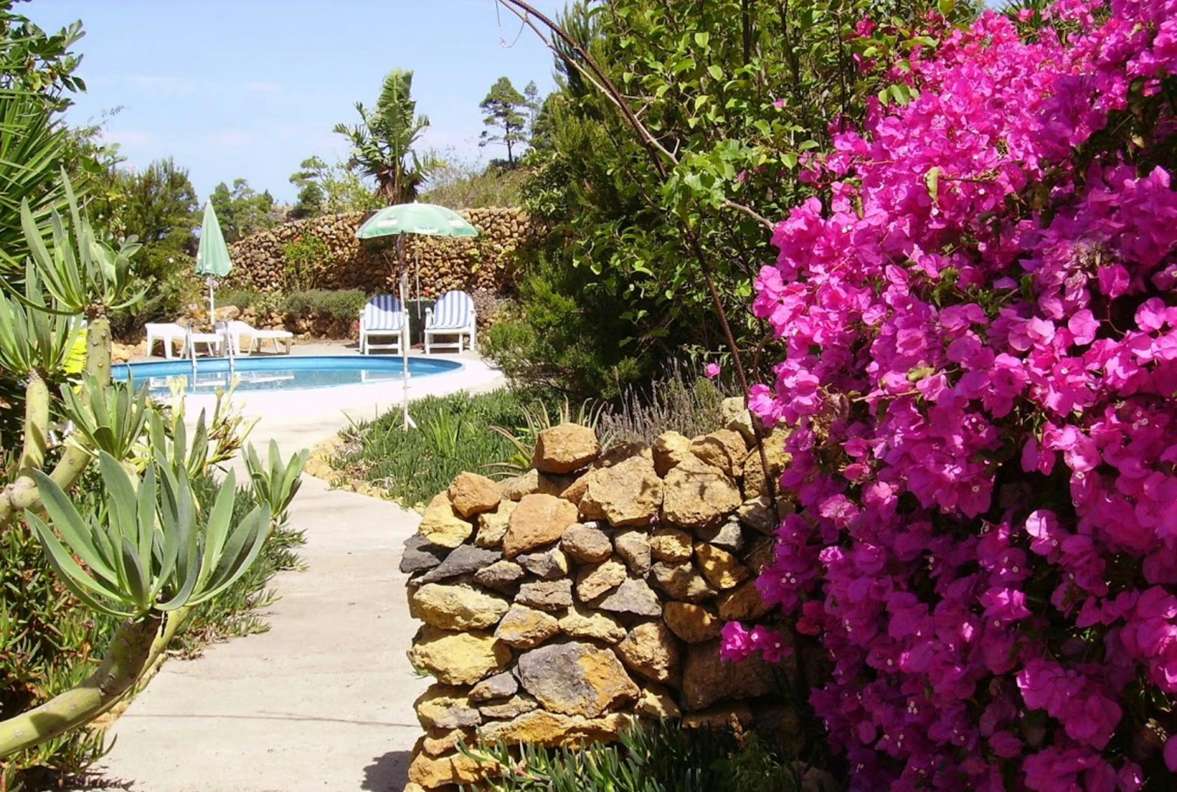 some flowers by the side of a very large pool