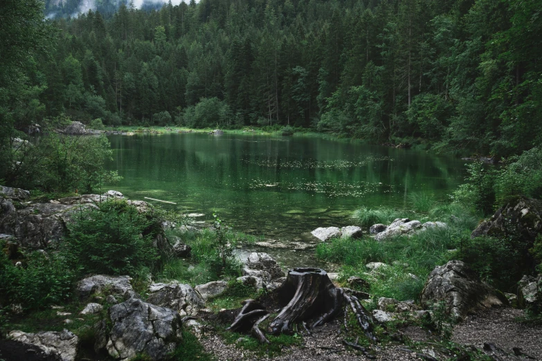 a lake with some rocks and plants by it