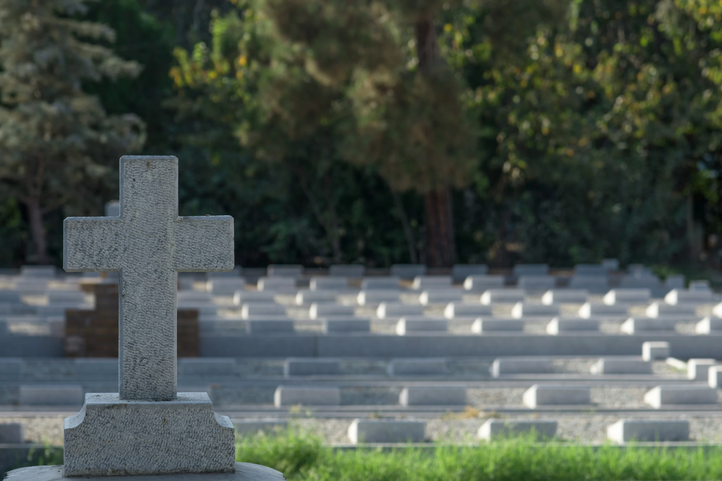 the military cemetery has rows of graves for memorial