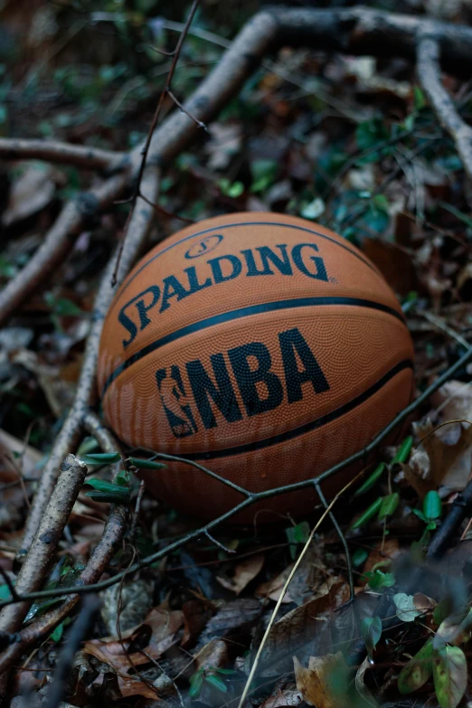 a basketball is laying in the leaves on the ground