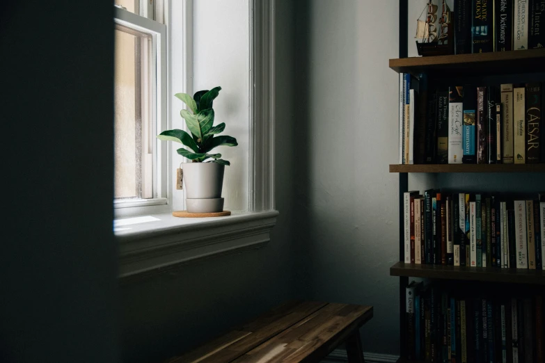 the green plant is sitting on a window sill near the bookshelf