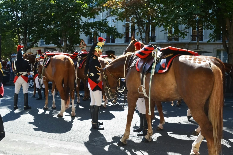 several horses that are dressed in costumes are standing near some people