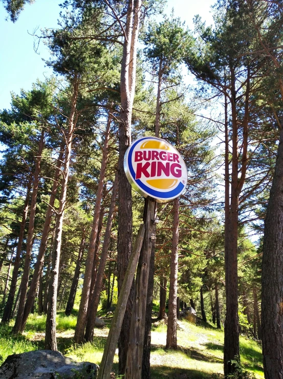 a sign for a king krispy kreme store hanging from a tree