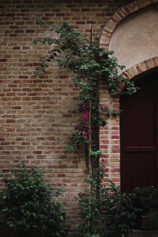 a doorway to a brick building and an arched window