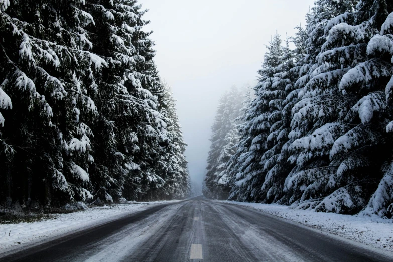 a winter road with snow on the trees and one lane to be ridden