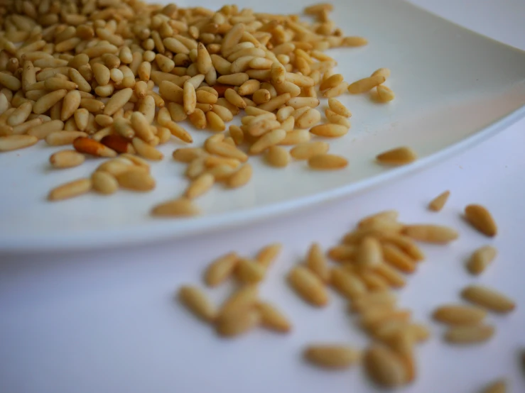 a white plate topped with oats next to other items