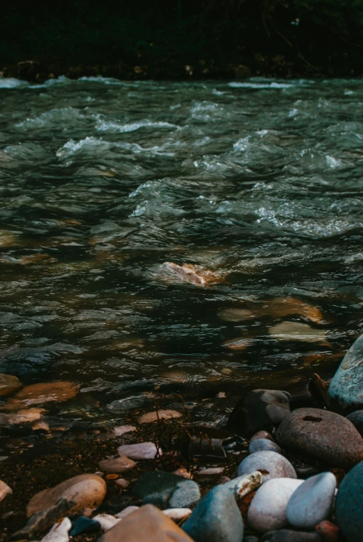 rocks and gravel near a river as the sun shines