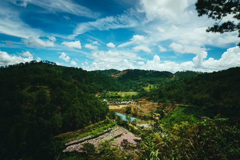 a lush green forest sitting next to a hillside