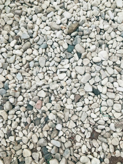 a group of rocks are laying together and together