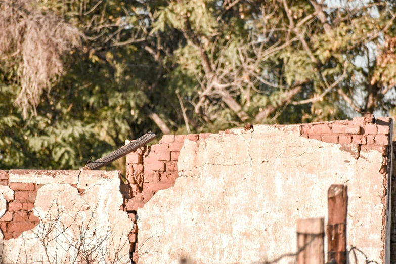 a black and white bird sitting on the edge of a brick building