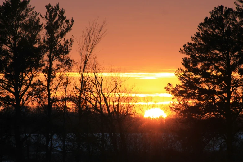 a sunset that is setting behind some trees