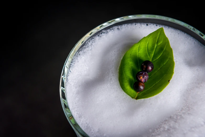 there is a plant and some salt on the table