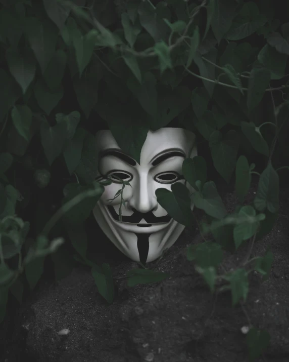 a mask sits next to green leaves behind it