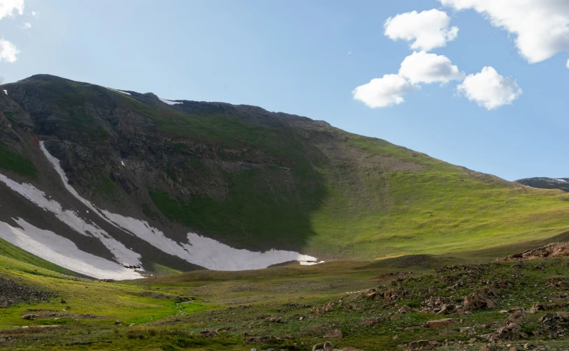 a lush green hillside has two snow covered mountains