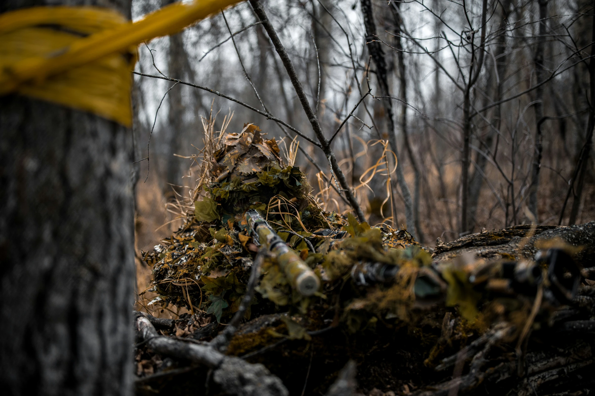 a small tree stump with moss in it