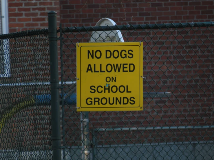 a no dogs allowed on school grounds sign on a chain link fence