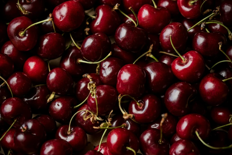 the dark cherry is full of shiny cherries