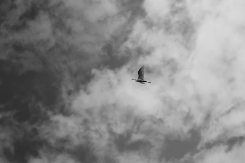 a bird flying in a cloudy sky with clouds