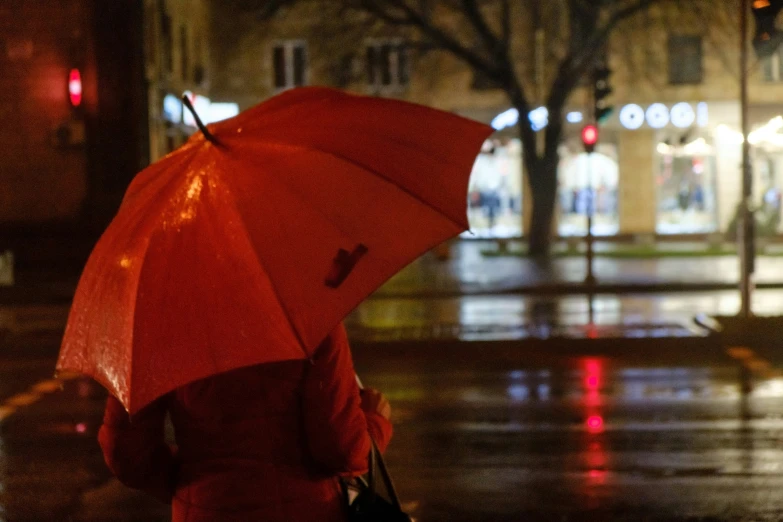 a woman walking down the street holding an umbrella in the rain