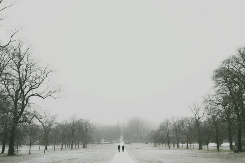two people walk down the path near bare trees