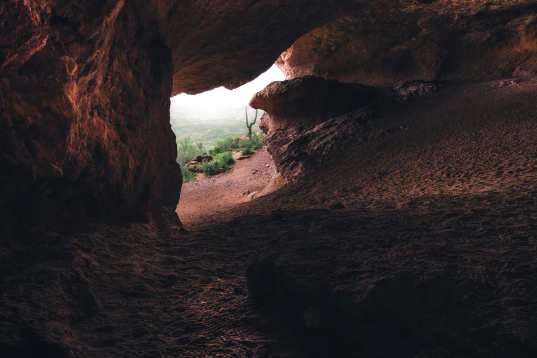 some very pretty rocks and plants in a very large cave