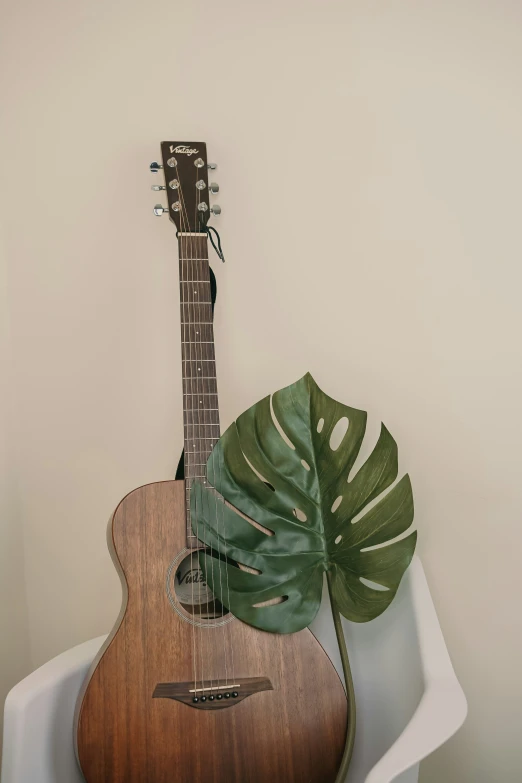 a guitar, plant and speaker sit in a chair