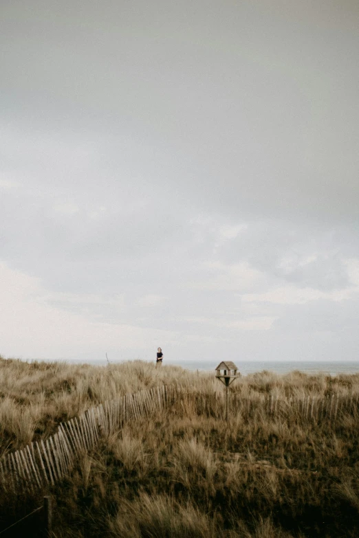 two people are in the middle of the grassy field