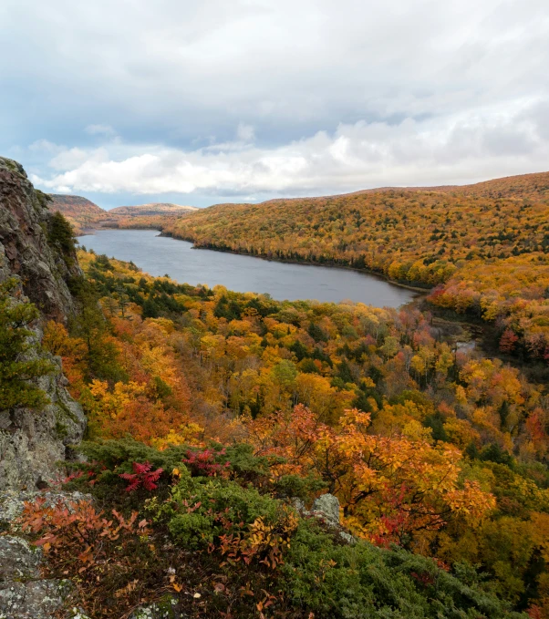 a beautiful overlook of lake surrounded by trees and shrubs